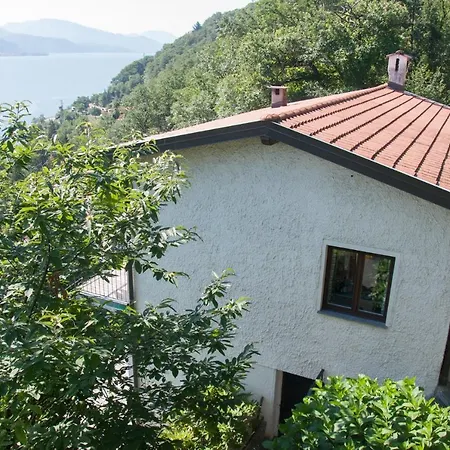 Casa Viola